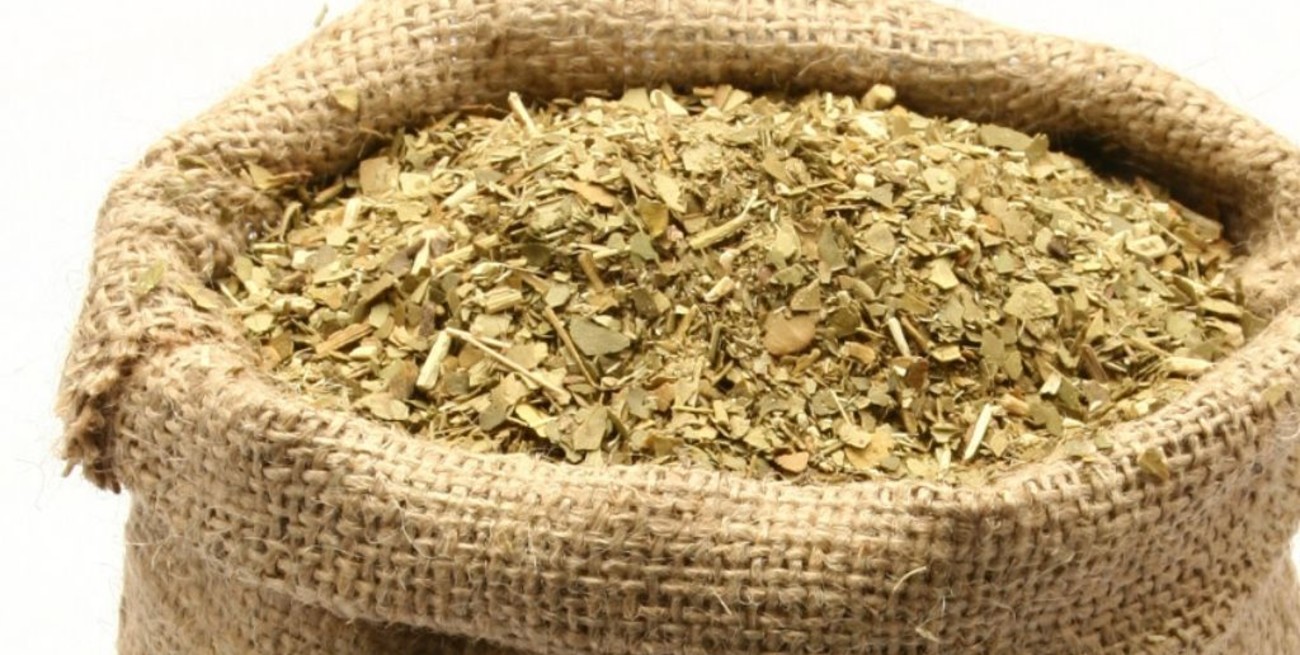 Unos 22 millones de kilos de yerba mate se consumieron durante marzo en Argentina