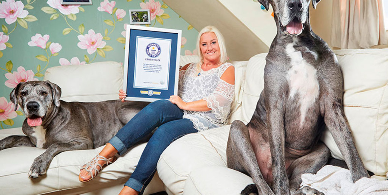 Murió Freddy, el perro más alto del mundo