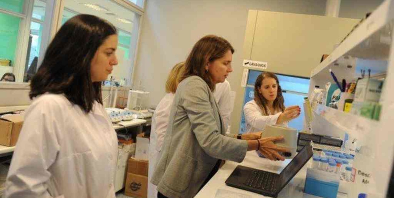 Sólo el 25% de quienes tienen la categoría de "Investigador Superior" del Conicet son mujeres