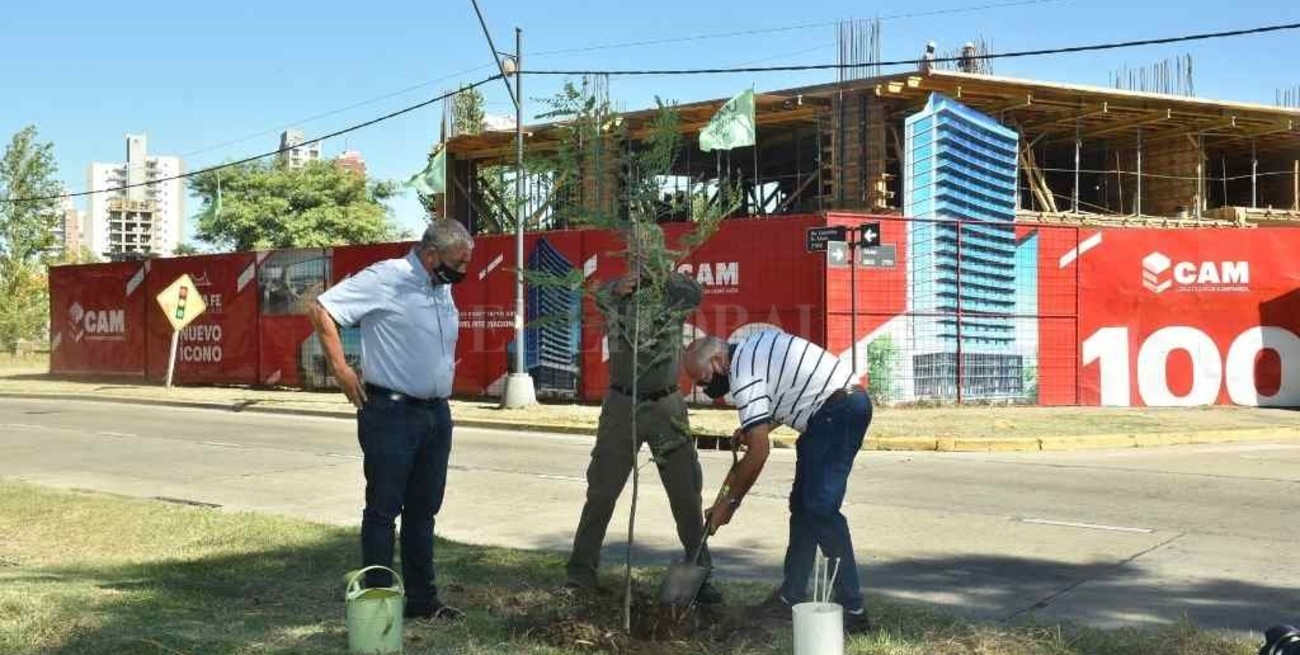 CAM construye su edificio N° 100 y plantará 100 árboles en la ciudad  
