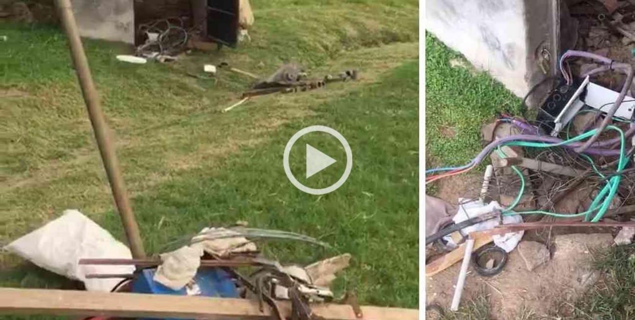 Vandalismo en predios deportivos del sur de la ciudad