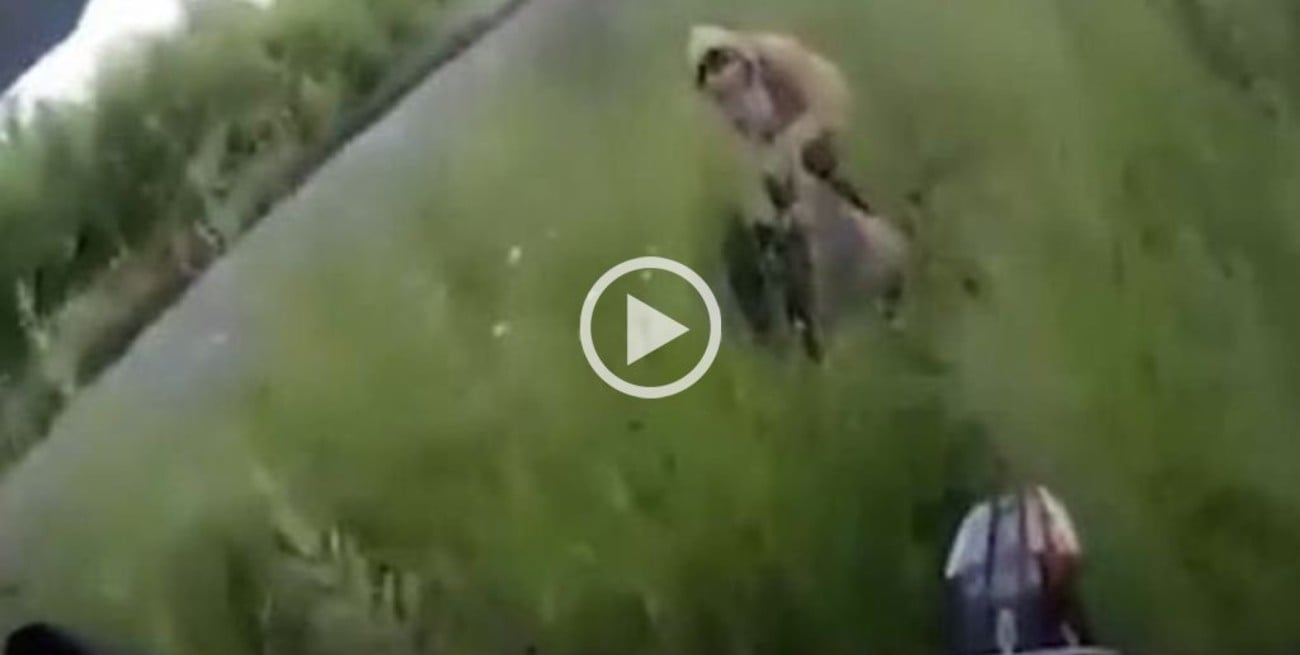 Video viral: practicaban enduro y casi atropellaron a una pareja que mantenía relaciones sexuales entre la vegetación 