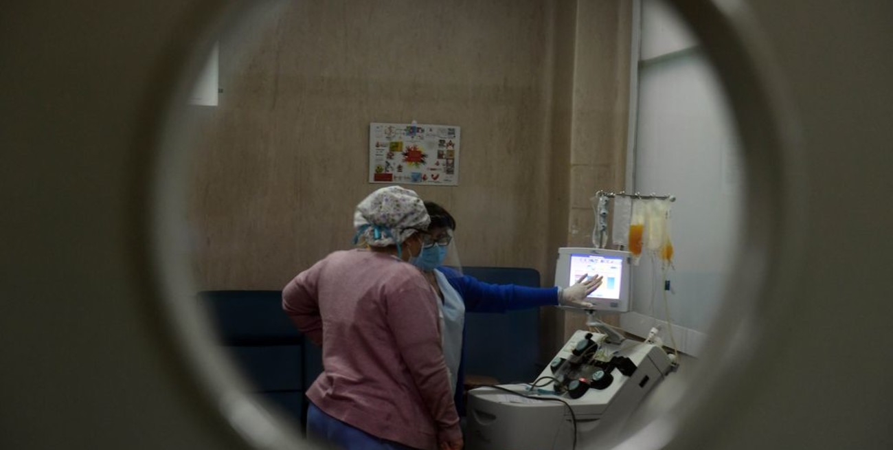 Coronavirus en Argentina: 8.185 contagios y 425 fallecidos, la cifra más alta en 75 días