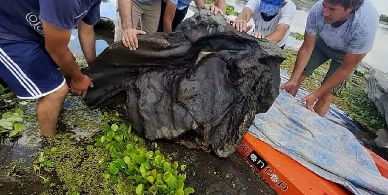 Vecinos hallaron restos de un gliptodonte en Santiago del Estero