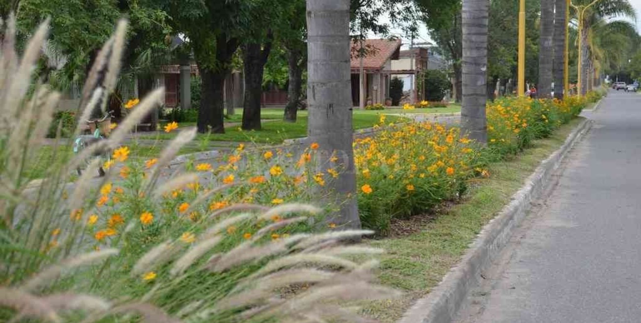 El primer "cantero sustentable" está en Progreso