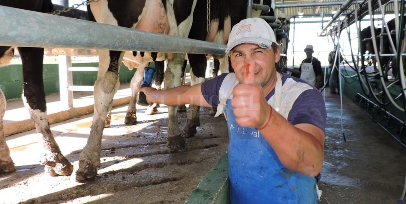 El tambo sigue siendo rentable, pero un poco menos