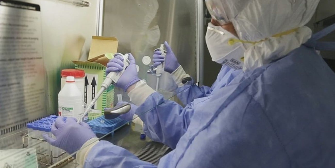 La colchicina, una planta medicinal descrita en un papiro de hace 3.500 años trae esperanza contra el coronavirus