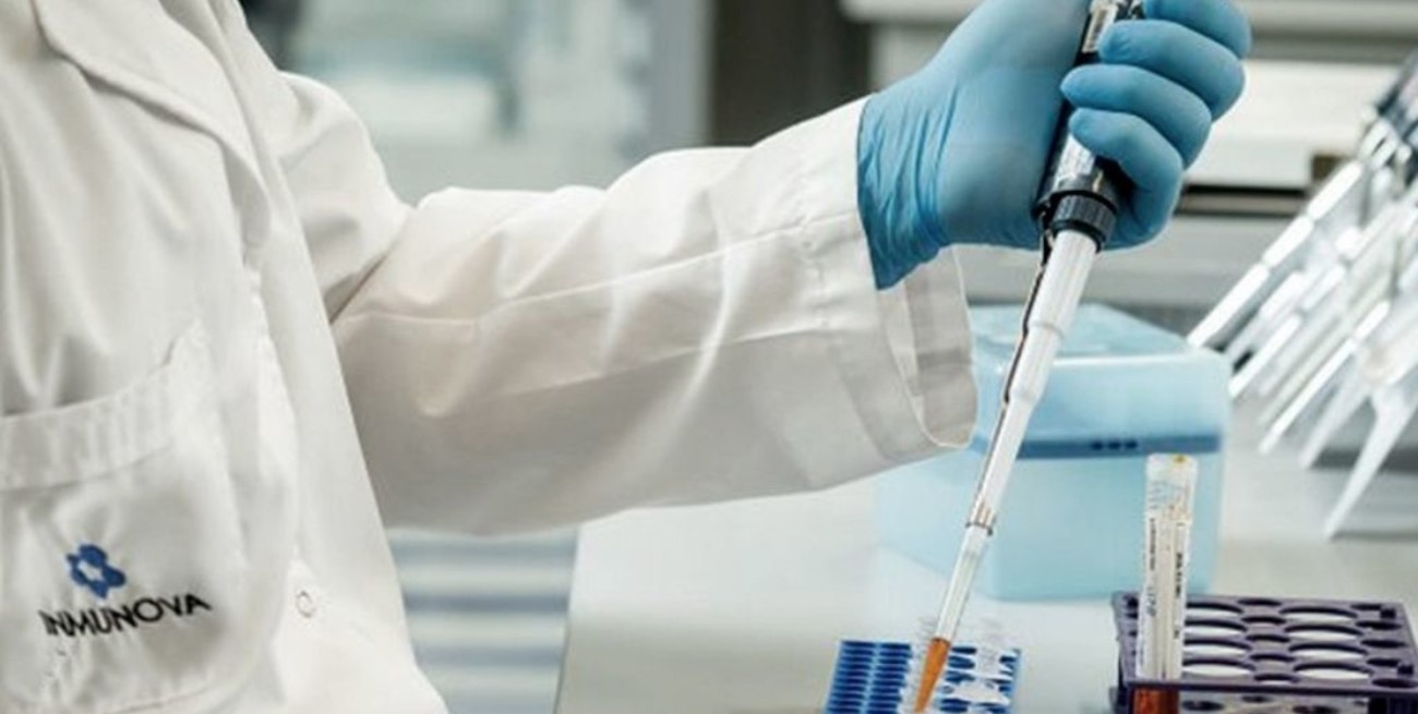 Corrientes: comprarán 150 dosis de suero equino para enfrentar el coronavirus