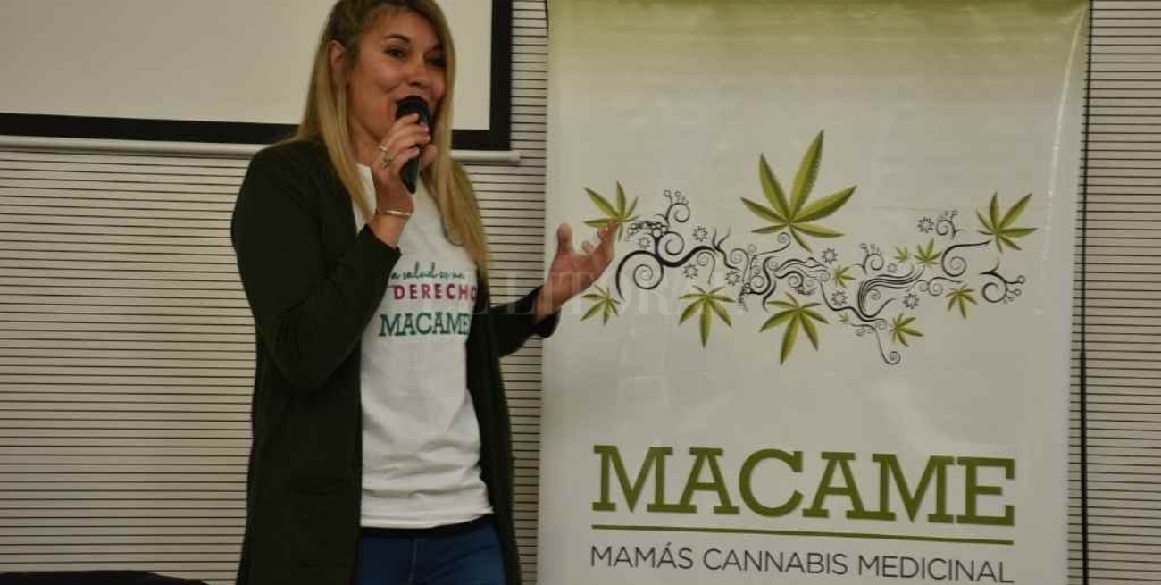 Macame pide la implementación del registro del programa de autocultivo de cannabis  