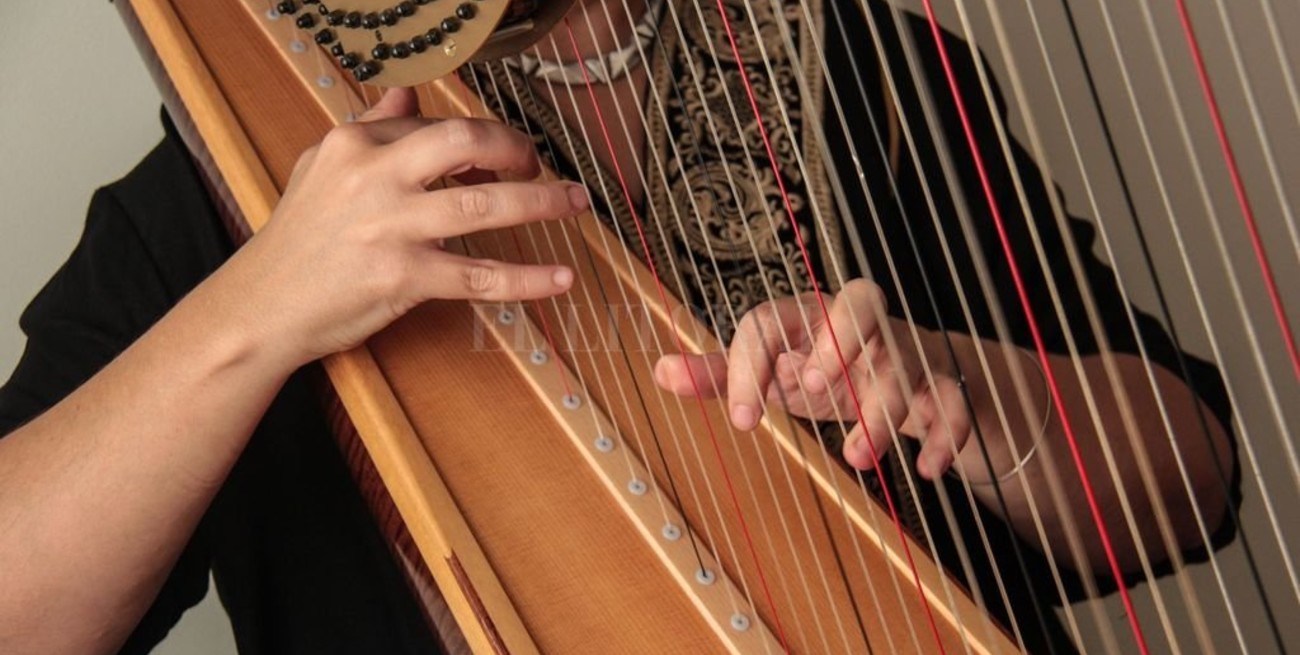 Concierto de arpas 