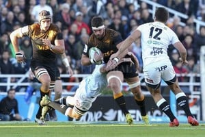 Destino francés. Kremer jugará en el equipo  rosa  de París. En la imagen, en apoyo del de Concordia, Tomás Lavanini, actualmente en Leicester Tigers. hace unos días atrás, hubo rumores de un interés de Gonzalo Quesada para continuar su carrera en Stade Francais.