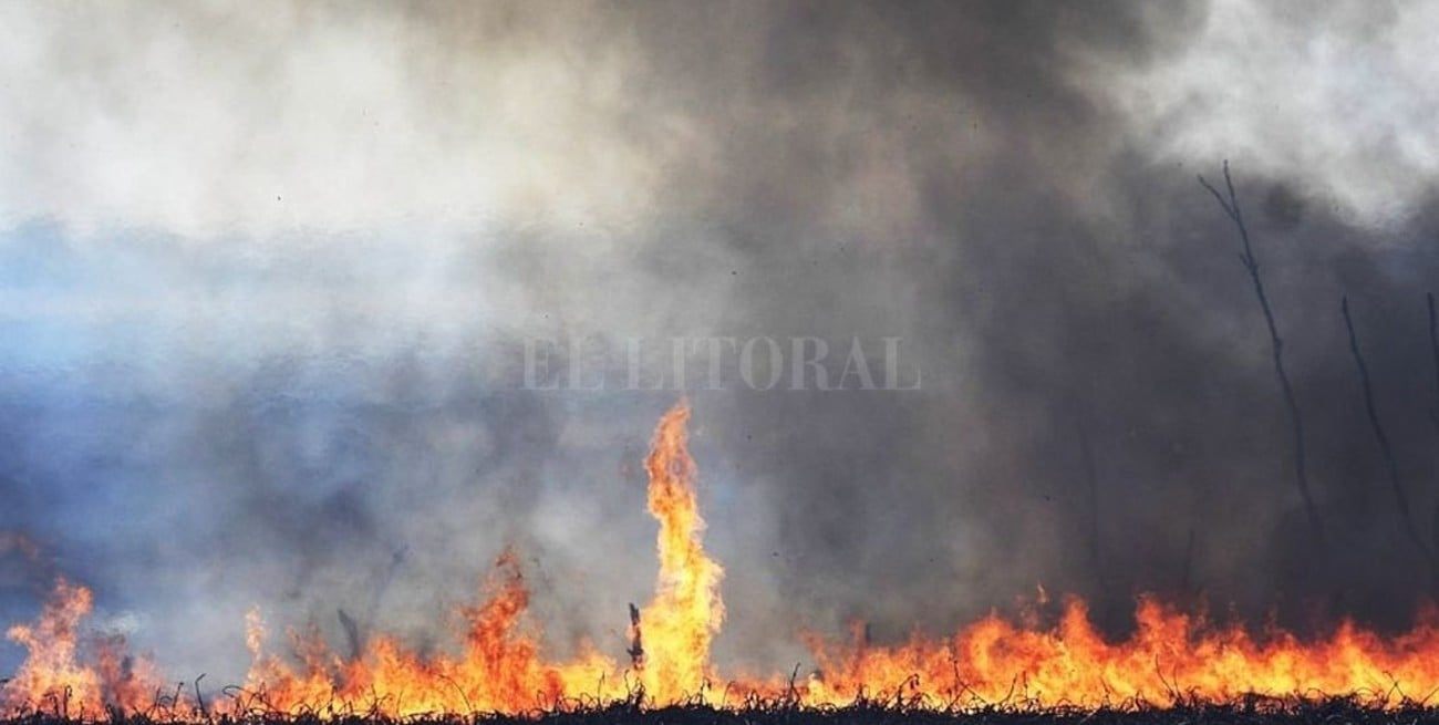 Estrenan "Detrás del Humo", un documental sobre los incendios en 2020 en el Delta del Paraná