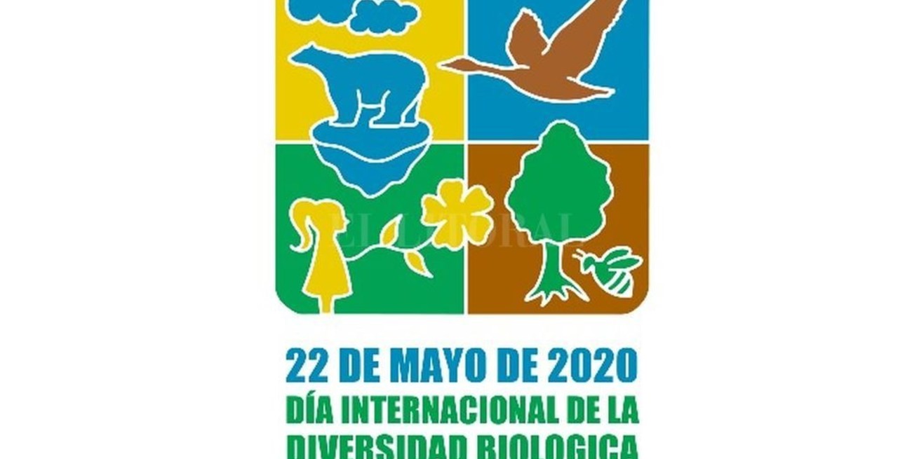22 de mayo: Día Mundial de la Biodiversidad