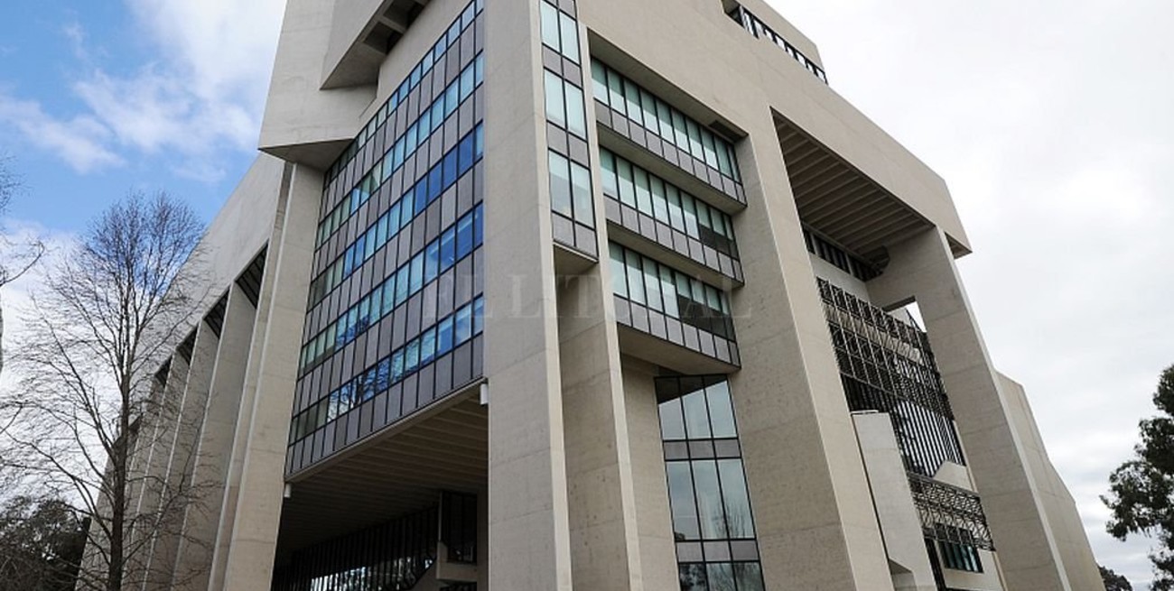 Irá presa por mentir en su curriculum