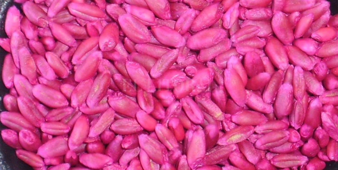 Drogas adulteradas y envenenadas, una práctica que no es nueva