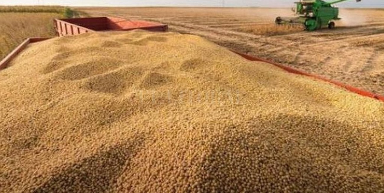 Siembra de soja 2020-2021 se encamina a su tramo final