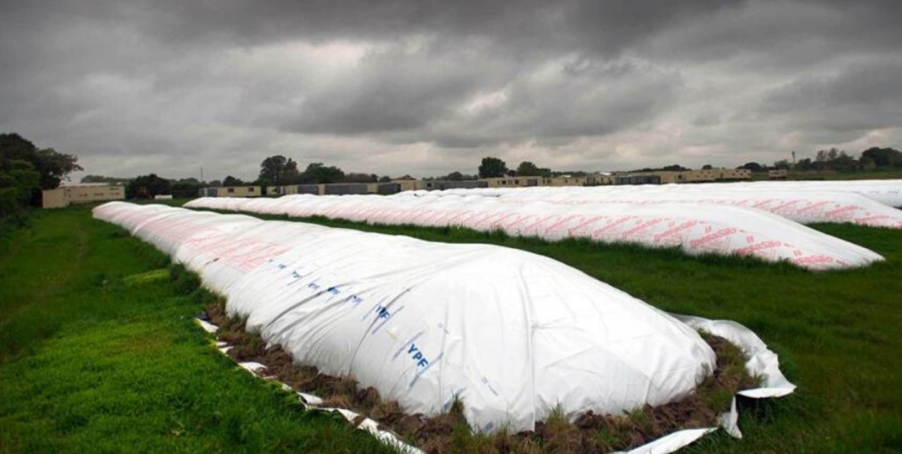 Idígoras: "Hay que buscar puntos de equilibrio entre producción y retenciones"