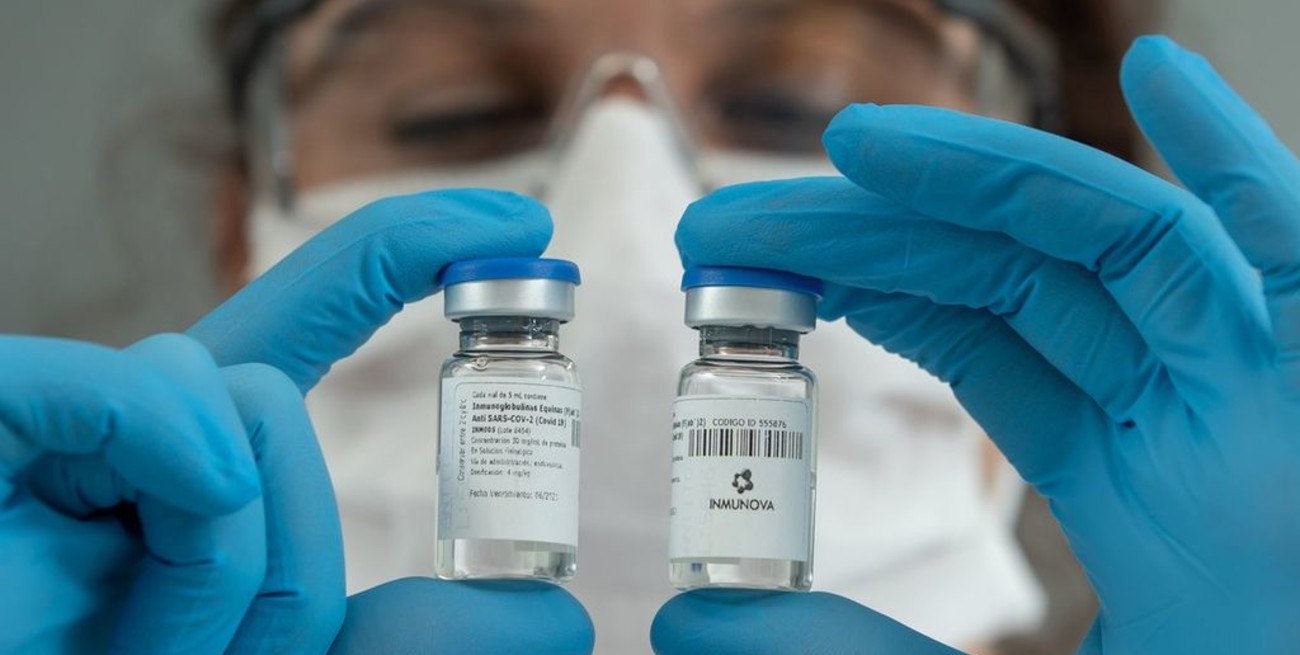 Cruces entre terapistas e investigadores por el uso del suero equino hiperinmune