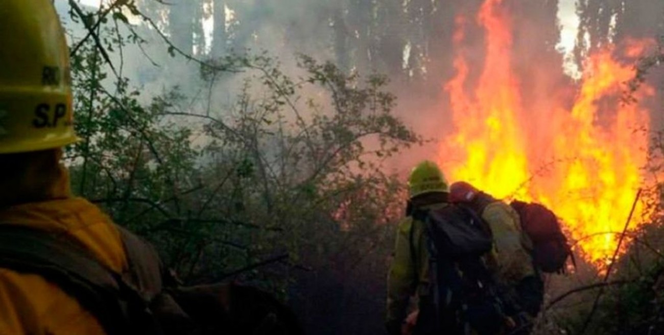 Importante incendio en Río Negro consumió unas 6500 hectáreas