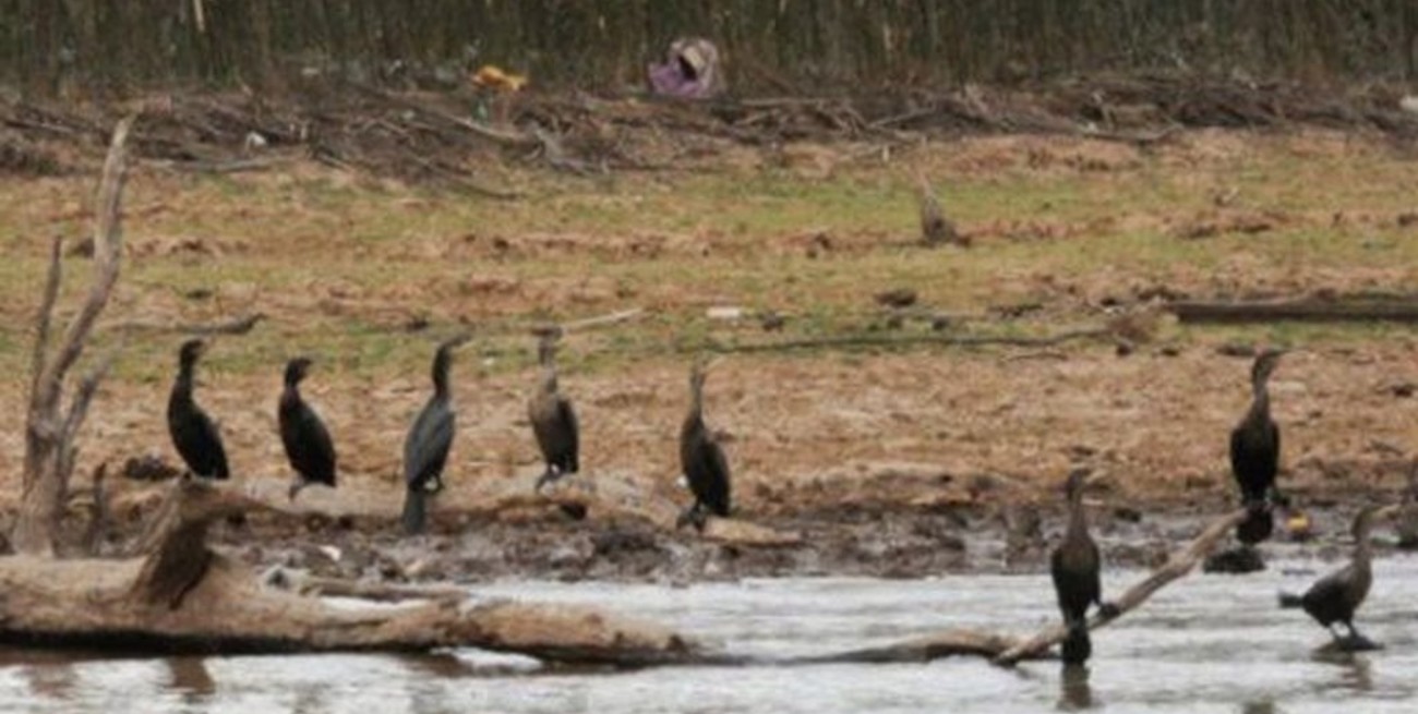 Santa Fe prevé incorporar más de 2.600 hectáreas como zonas protegidas del delta e islas