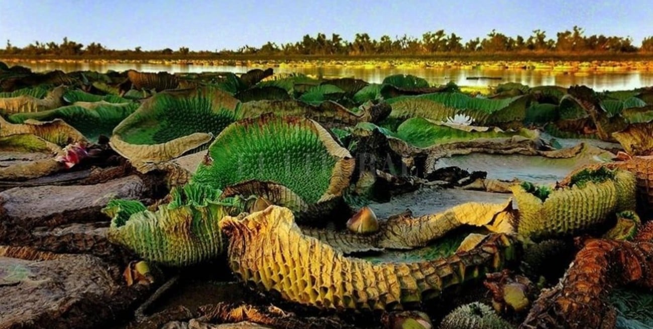 Agua potable: la naturaleza vista como primer regulador