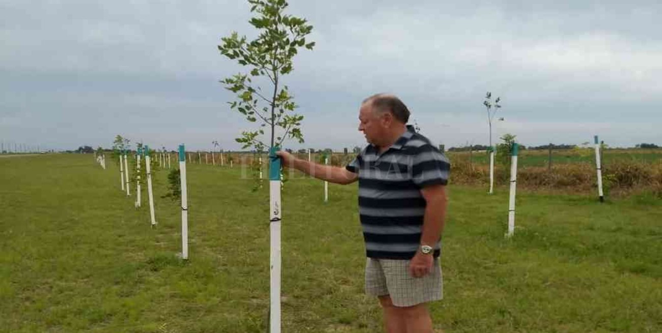 "Corredor Biológico": comenzó la plantación en San Carlos Norte y San Agustín