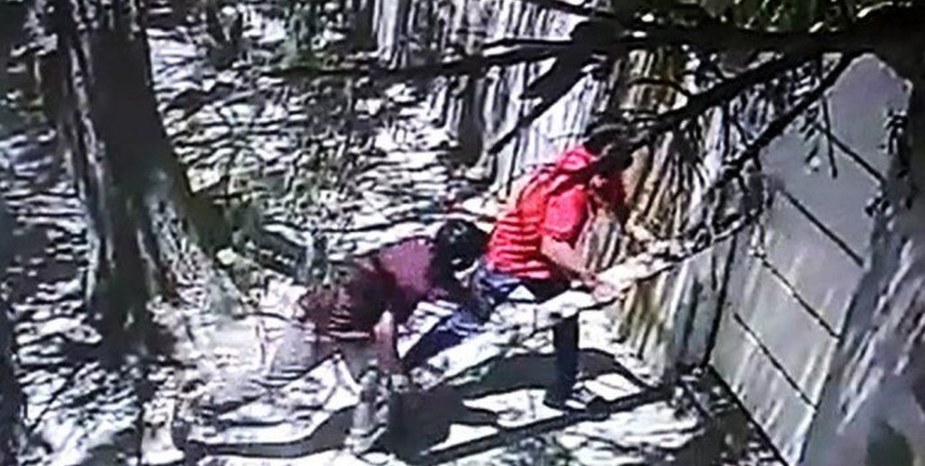 Neuquén: usando una viga como ariete, derribaron una puerta y desvalijaron la casa del vecino