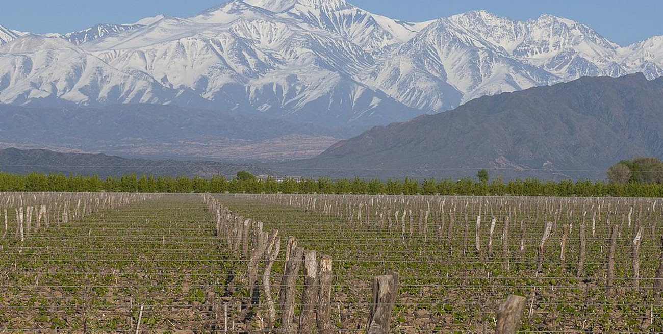 Piden una consulta popular para determinar su Mendoza debe separarse de la Argentina