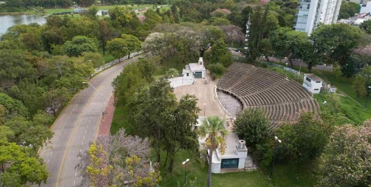 Día Nacional del Árbol: su importancia ecológica, social y cultural