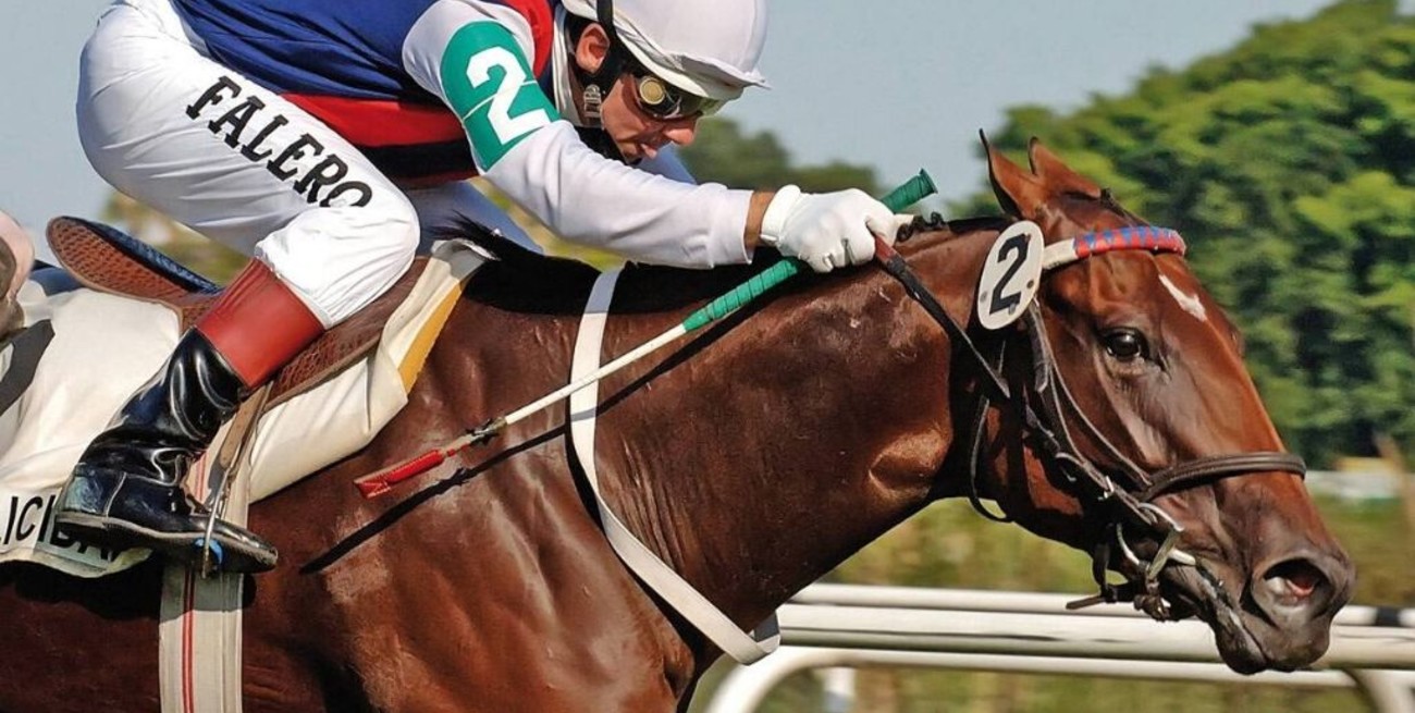 'Sólo un momento' ganó el Dardo Rocha del turf en La Plata