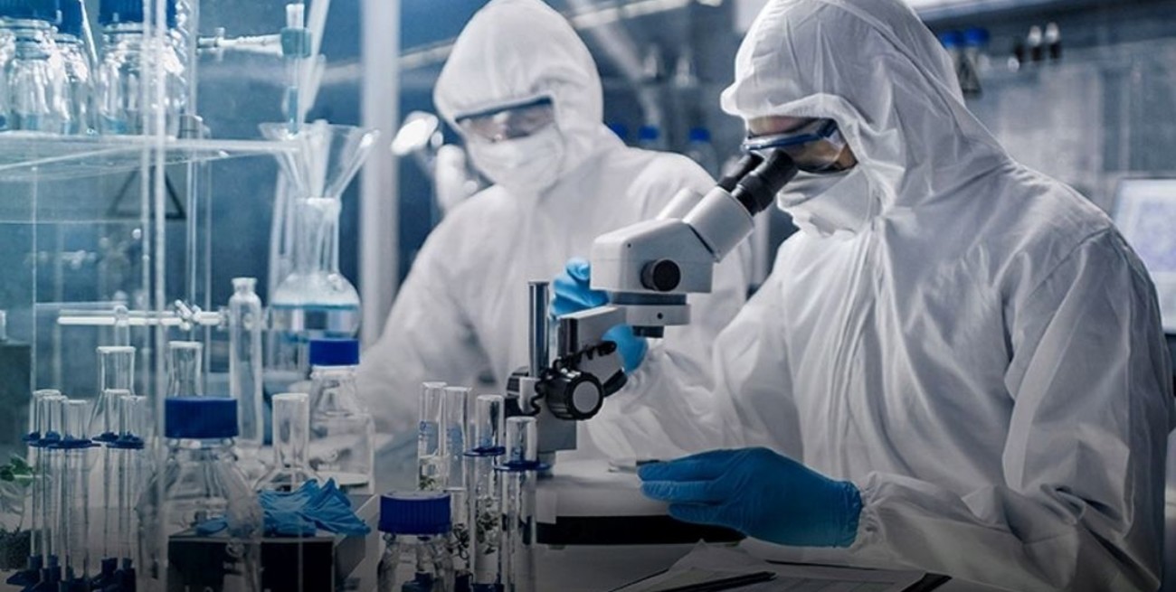 Detectaron en Corrientes una nueva cepa proveniente de Brasil