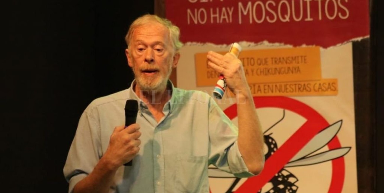 Cambio de estrategia: más que prevenir el dengue  hay que evitar la proliferación del Aedes Aegypti