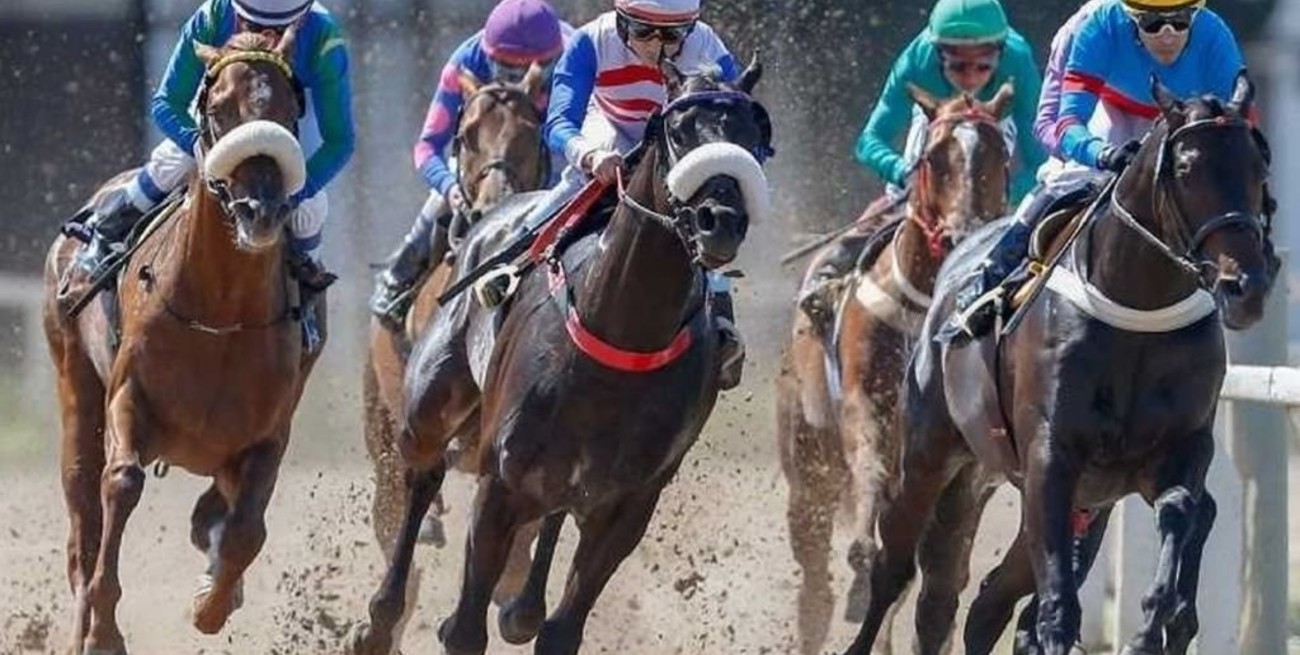 Un caballo dejó impotente a un hombre y su esposa le ganó una demanda al Hipódromo por no poder tener sexo