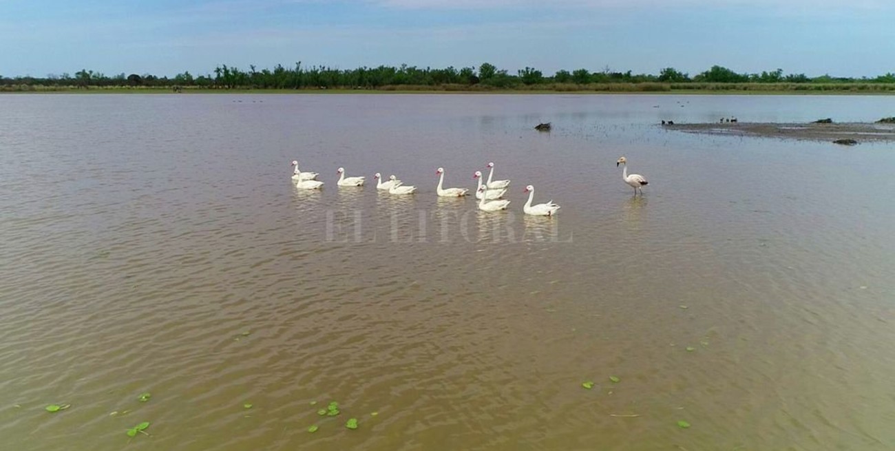 Elaborarán un inventario de los humedales santafesinos