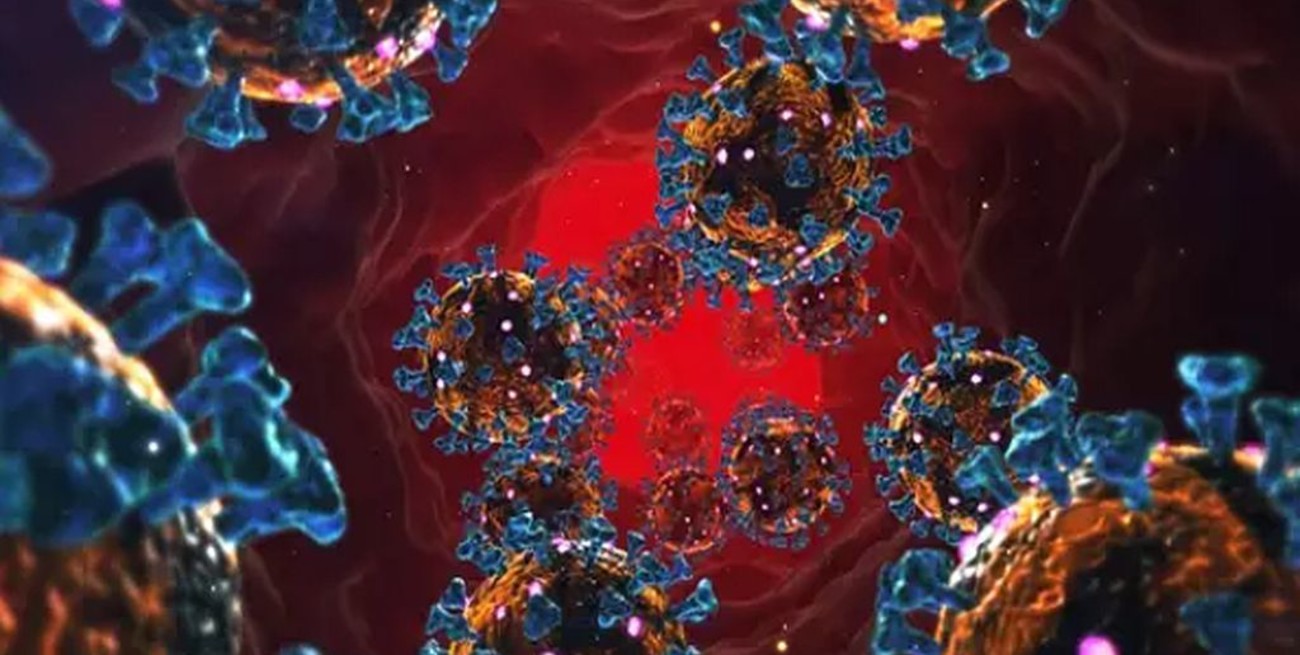 "Tormentas de citoquinas", las responsables de muchas muertes por Covid