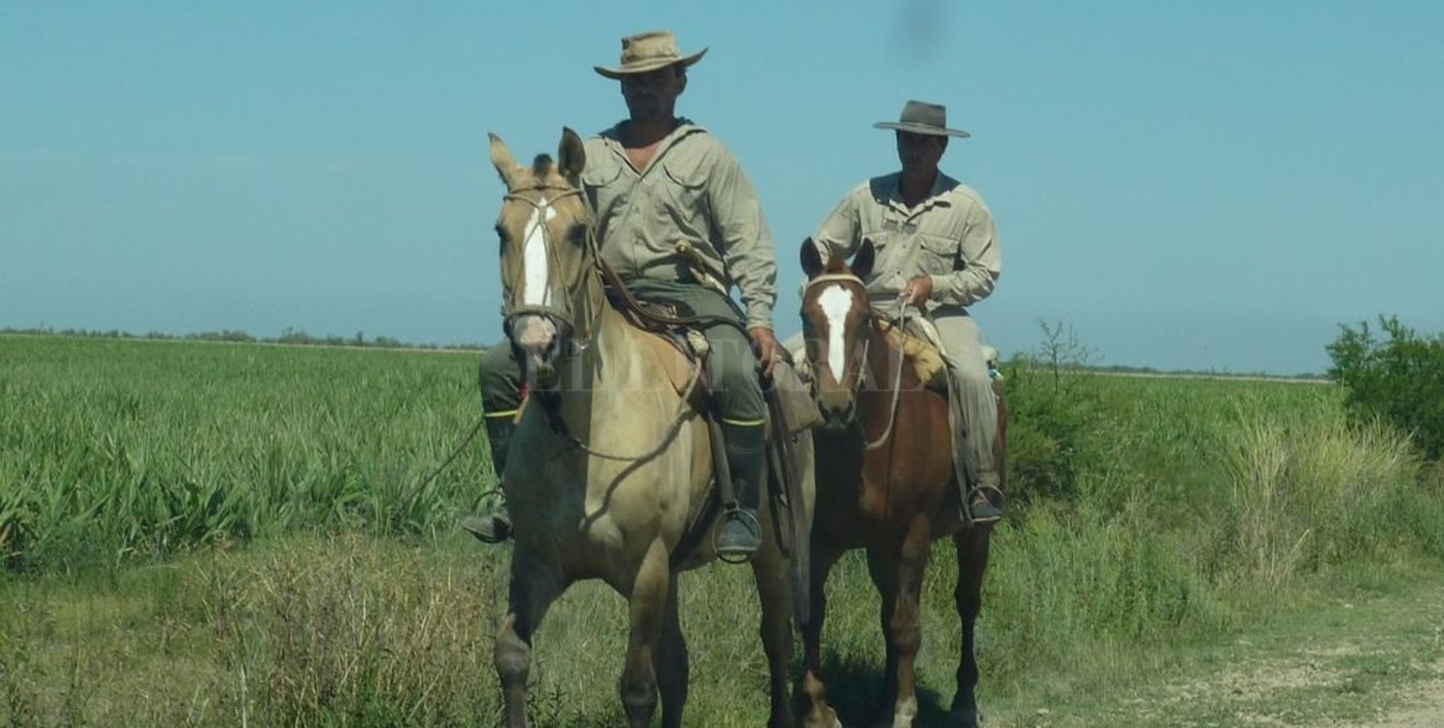 Trabajadores rurales cobrarán el bono de $ 5000