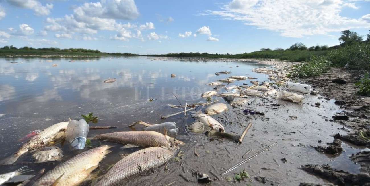 Mónica Peralta: "Que el ecosistema deje de ser arrasado por la falta de regulación"