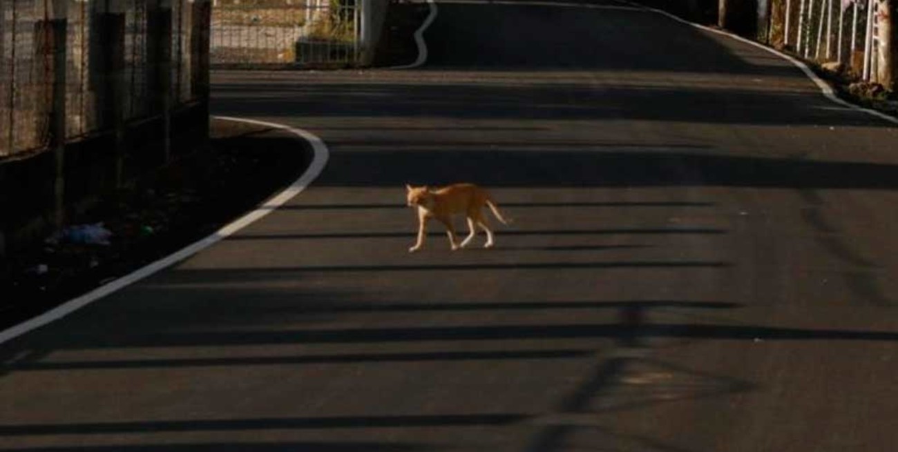 Panamá implantó el toque de queda las 24 horas por el avance del coronavirus