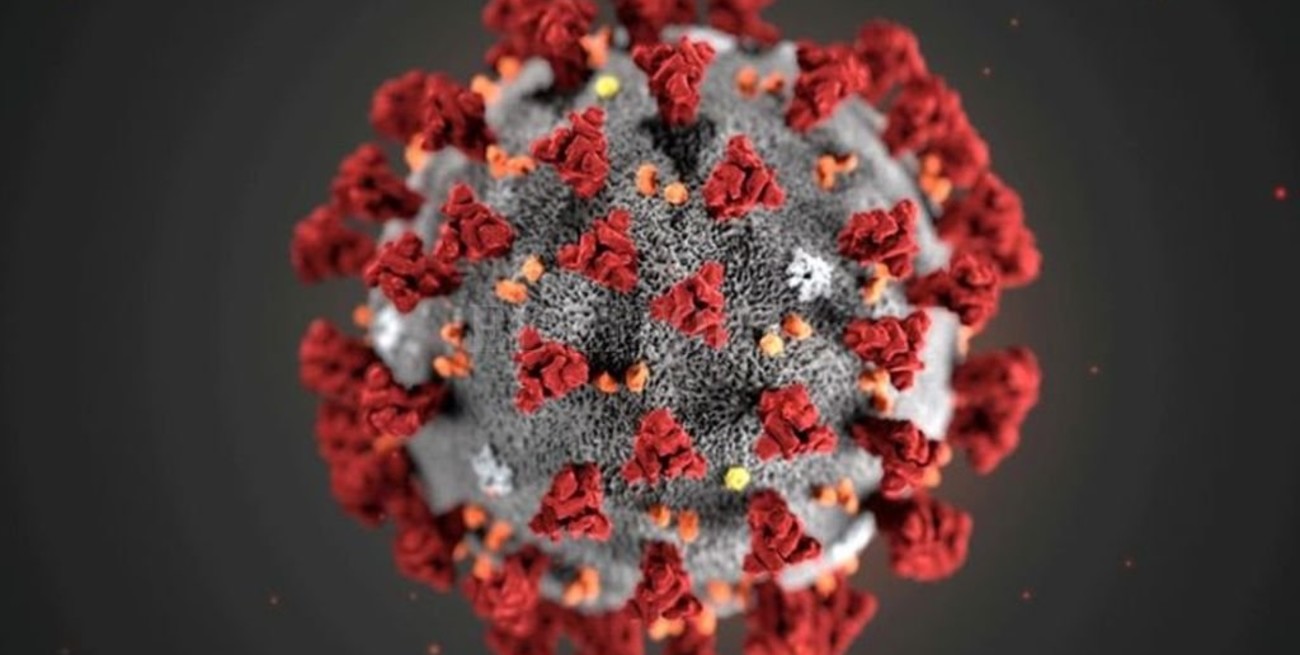 Descubren una mutación que hace más infeccioso al coronavirus