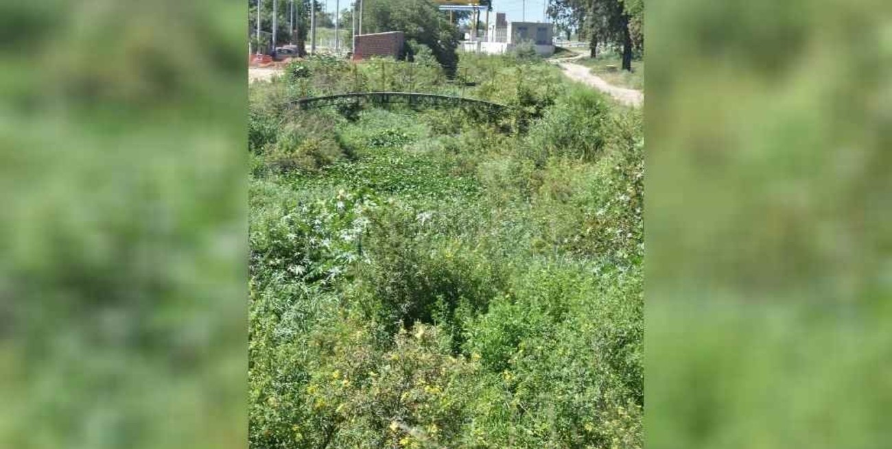 B° Centenario: reclaman la limpieza del zanjón Tacca  