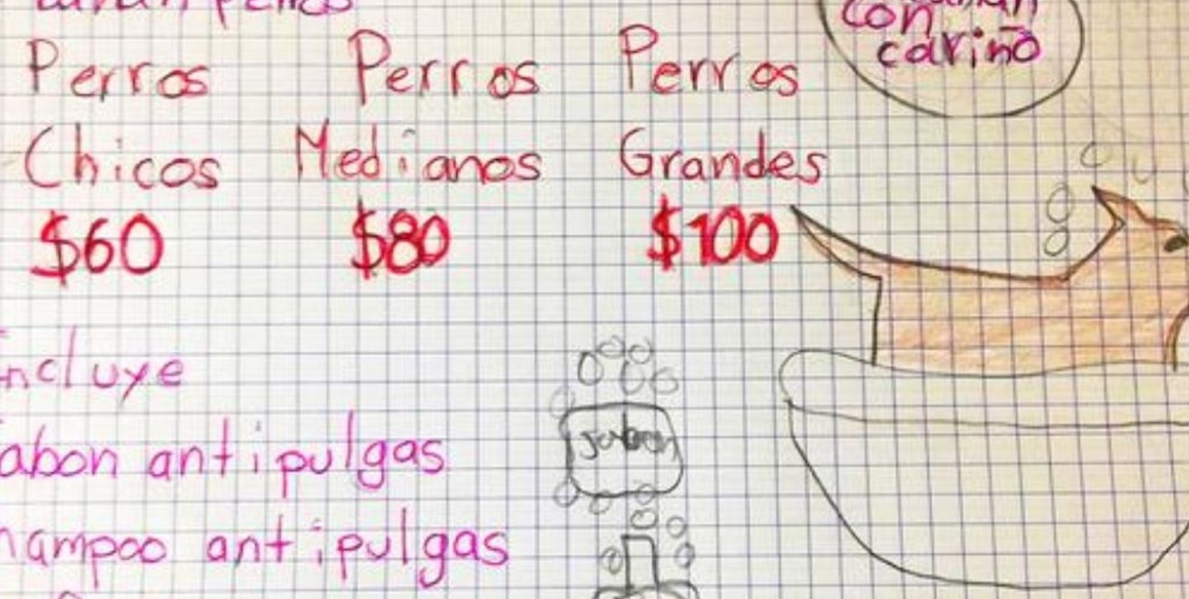 Un niño de 7 años baña perros para juntar plata  para sus estudios de veterinario