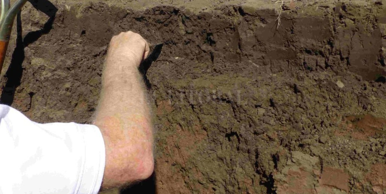 Presentan una guía online para caracterizar los suelos en producción