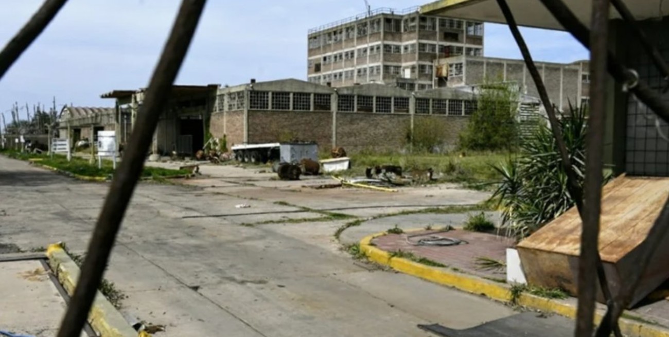 Caso Petroquímica Bermúdez: fecha confirmada para reanudar la audiencia imputativa