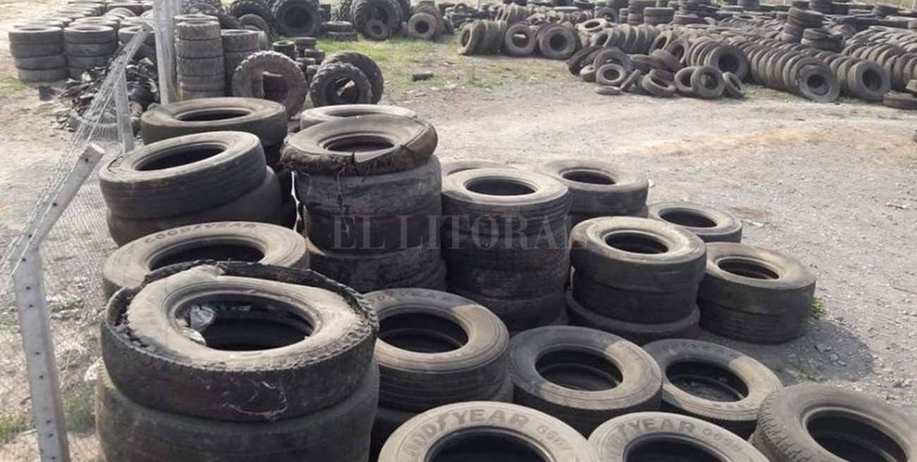 La planta intermedia de residuos ya recolectó más de 1.400 neumáticos fuera de uso