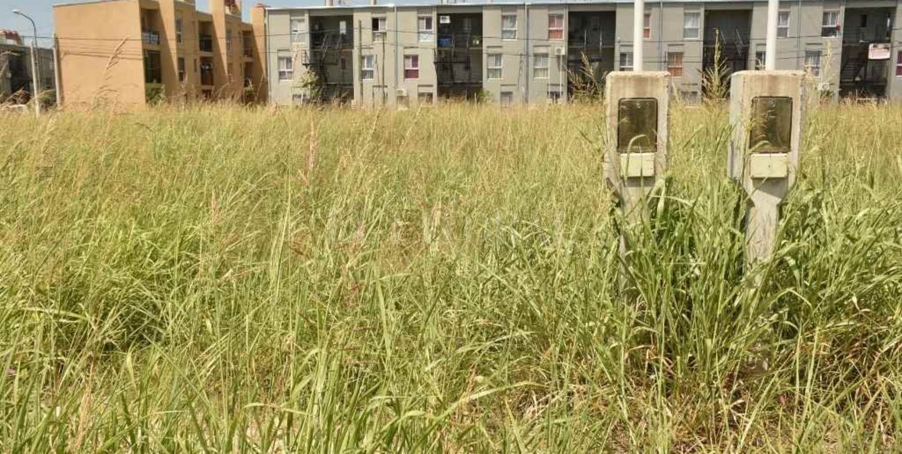 En Esmeralda Este II pusieron seguridad privada, pero los robos aún continúan  