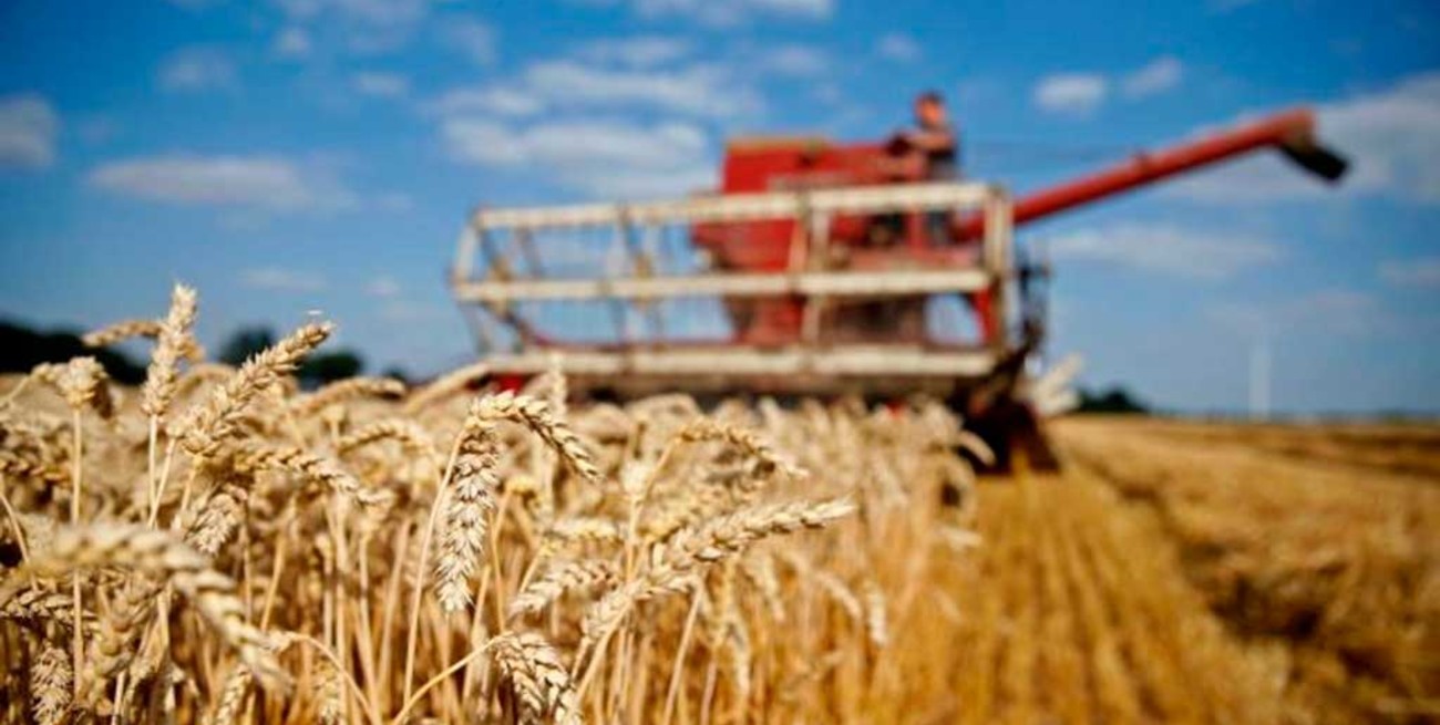 Bolsas de Cereales y de Comercio solicitan medidas ante los cortes de ruta que afectan el abastecimiento