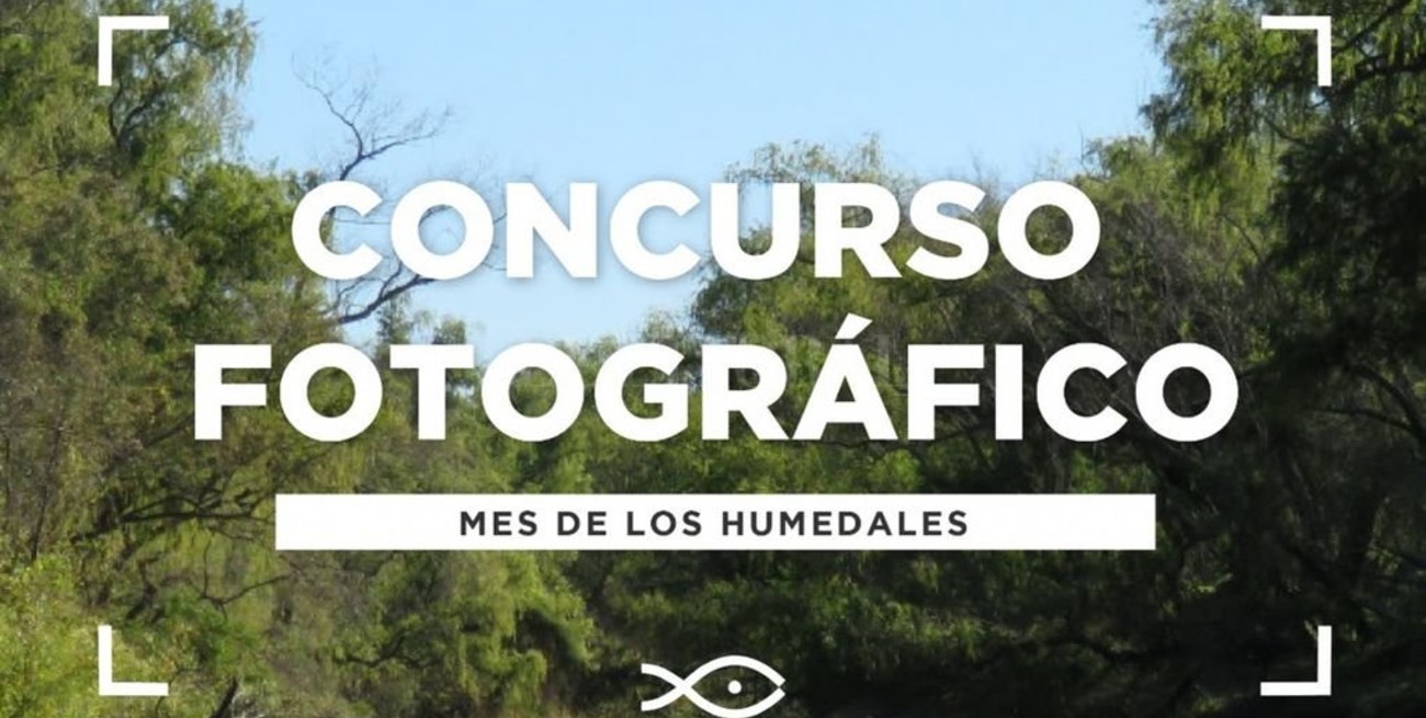 El Acuario del Río Paraná convoca al concurso fotográfico: "Retratos del Humedal"
