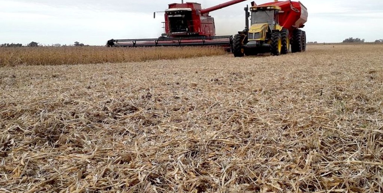 La producción sigue latiendo