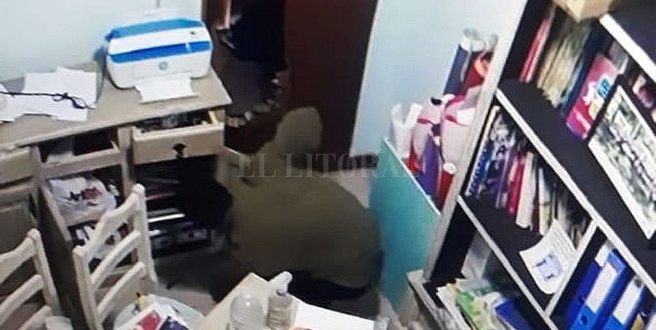 Se quedó dormido abrazado a una botella de whisky y lo condenaron