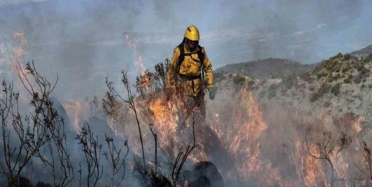 Cuatro provincias registran focos activos de incendios forestales